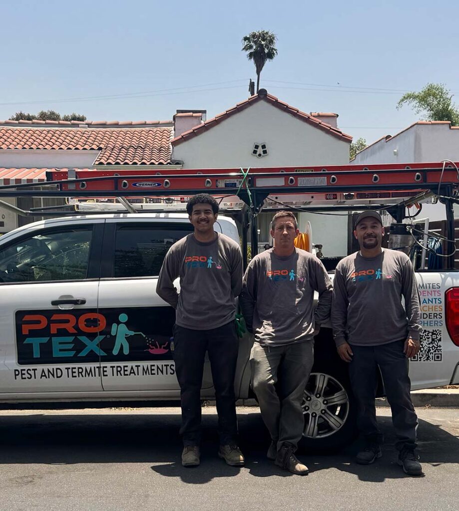 ProTex Team
